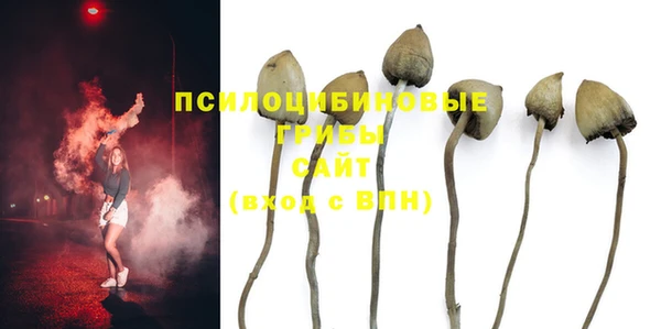 шишки Алексин