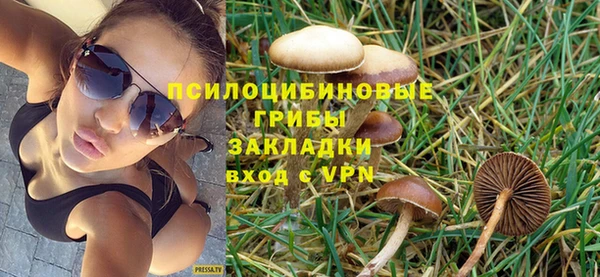 шишки Алексин